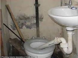 Toilet Repair